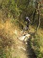 bici olera 018